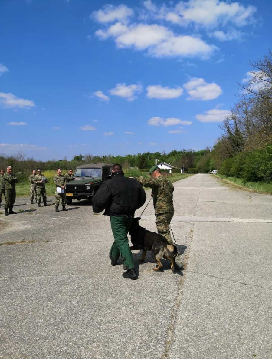 tečaj za obuku vodiča i službenih pasa