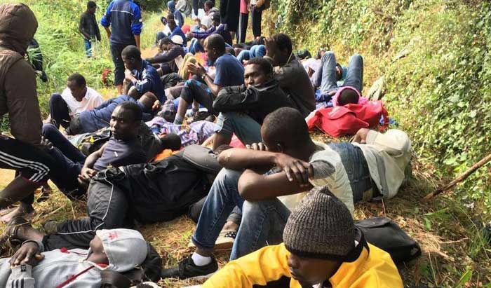 Migranti