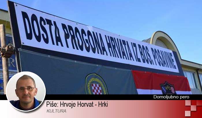 Bosanska Posavina