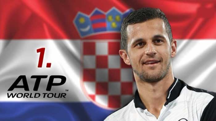 Mate Pavić