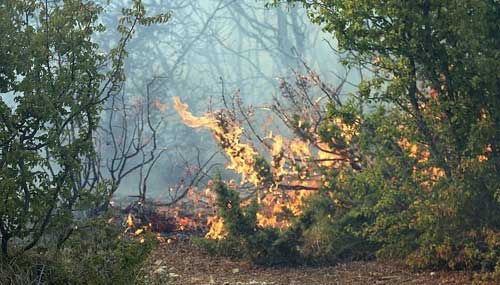 Privedeni zbog požara