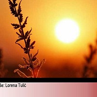 Vrijeme za buđenje