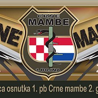 35. obljetnica Crne mambe